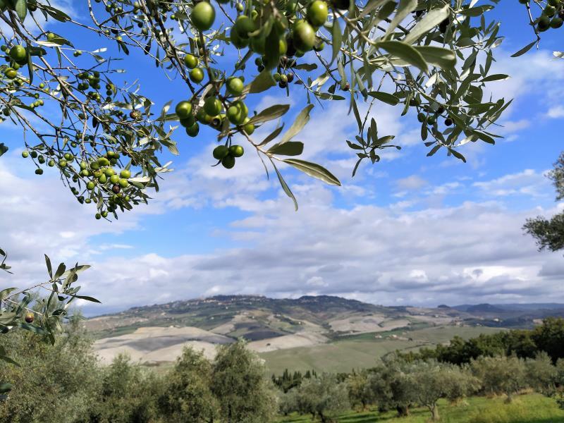 Agriturismo E Management Un Binomio Imprescindibile Vieni A Vivere